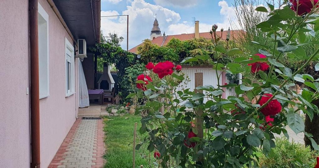 Apartman Ksenija Ðakovo Exterior foto